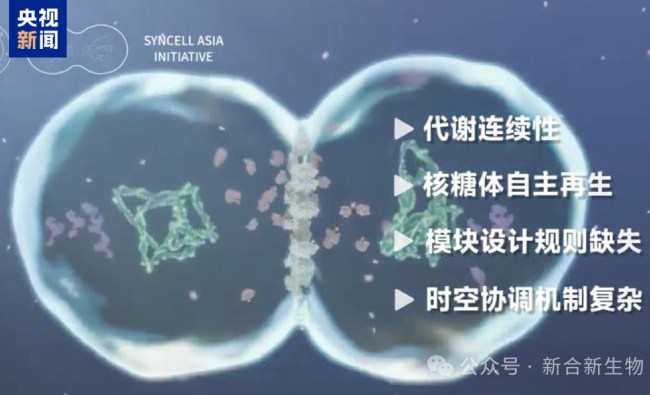 亚洲首份合成细胞十年路线图发布，深圳 “大国重器” 为人工生命研究保驾护航